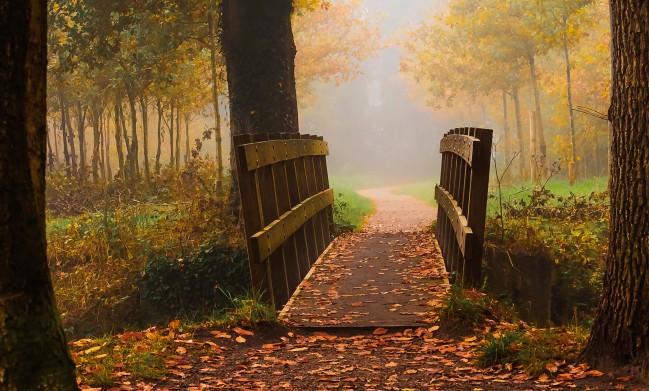 Idyllisch bruggetje voor wandelaars op Landgoed Bonenburg in Heerde op de Veluwe in herfstkleuren.